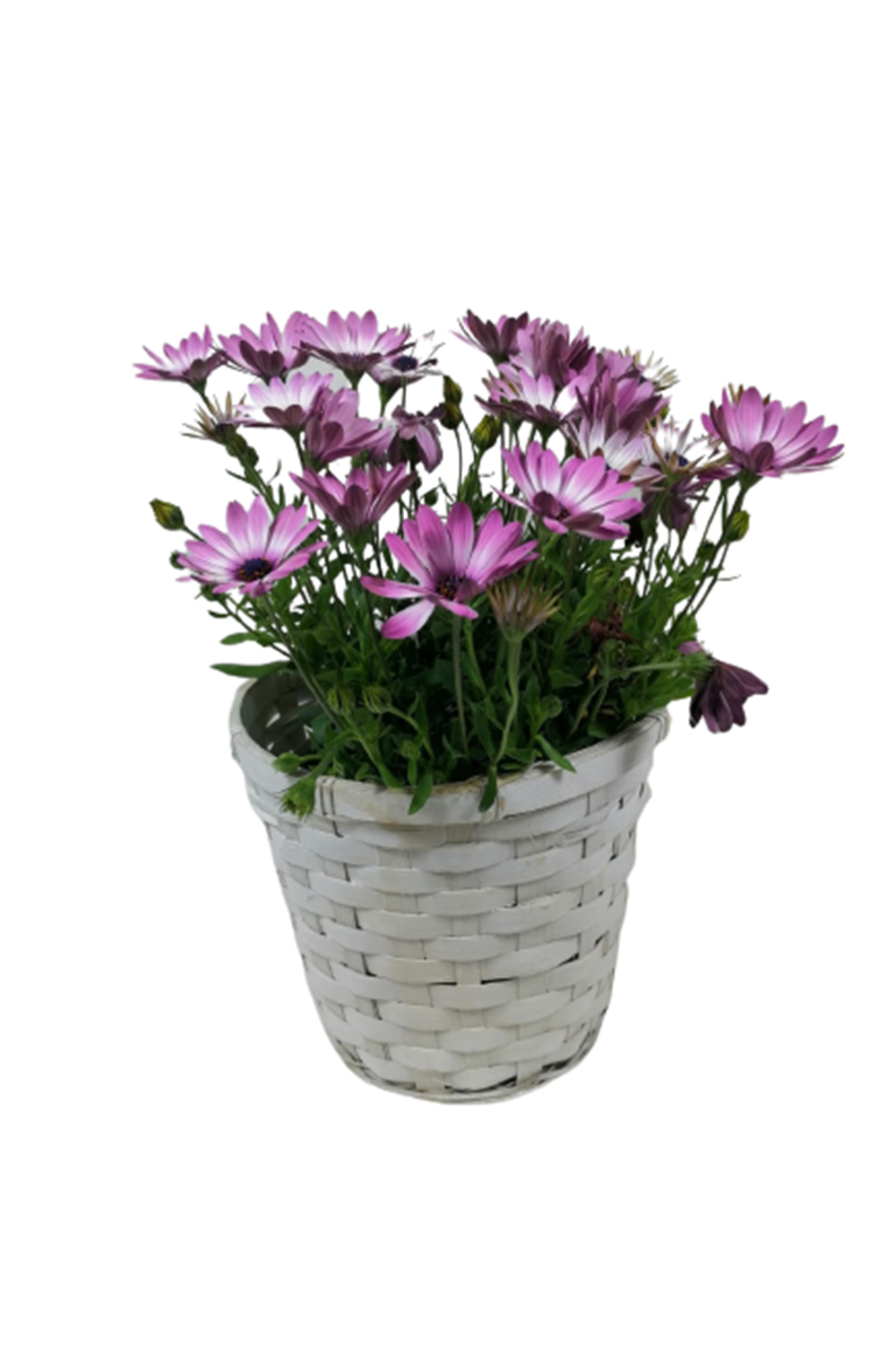 EL YAPIM ÖRGÜ SEPET 0004