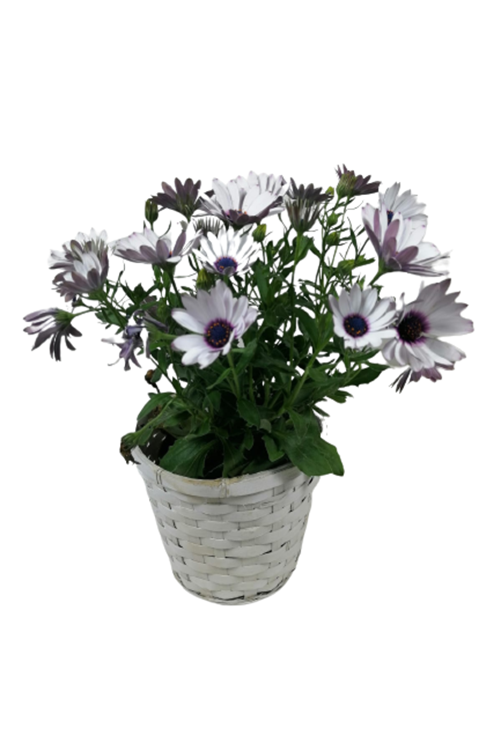 EL YAPIM ÖRGÜ SEPET 0004