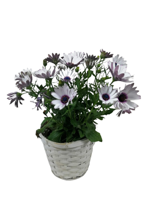 EL YAPIM ÖRGÜ SEPET 0004