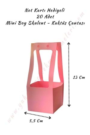 Küçük Boy Kraft Skulent Kaktüs Taşıma Çantası 20 Adet - Açık Pembe