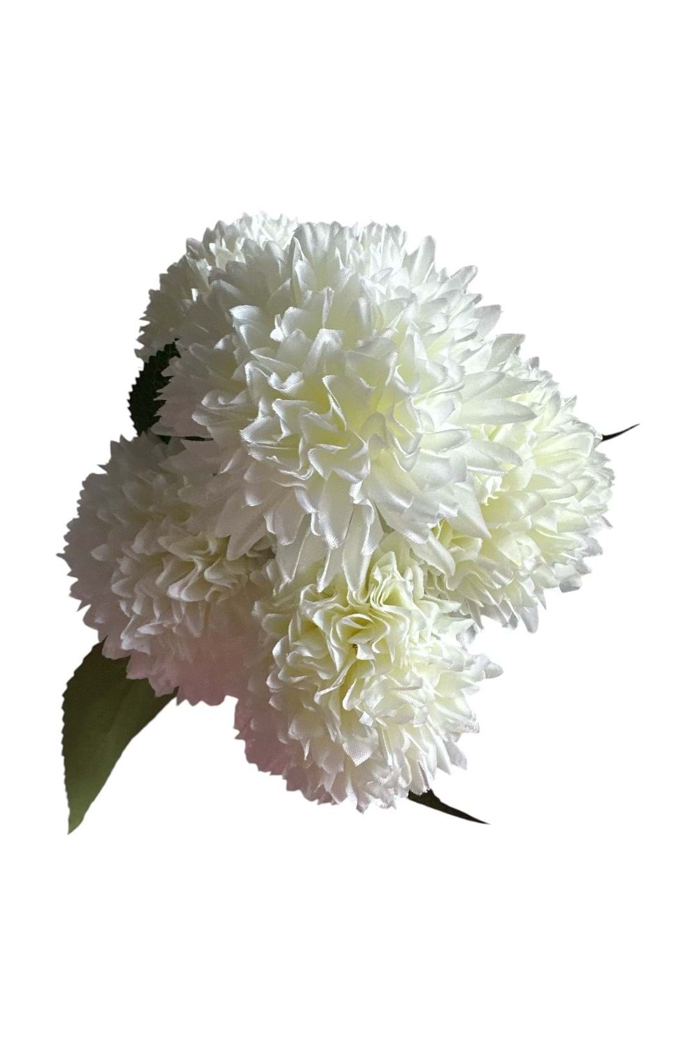 KARANFİL 5 DALLI