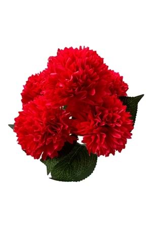 KARANFİL 5 DALLI